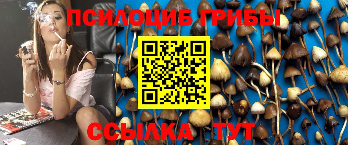 Екатеринбург  Псилоцибиновые грибы Magic Shrooms  Псилоцибиновые грибы MAGIC MUSHROOMS  купить   Вход с VPN 