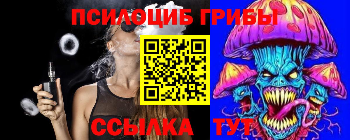 Псилоцибиновые грибы Psilocybe Екатеринбург